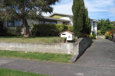 Photo of property in 18 Treadwell Street, Springvale, Whanganui, 4501