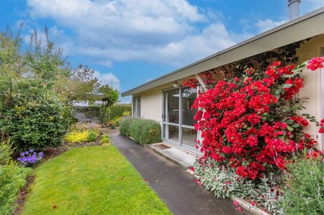 Photo of property in 16 Mckeefry Avenue, Greenmeadows, Napier, 4112