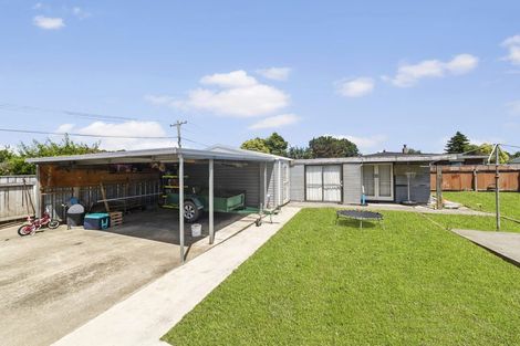 Photo of property in 51 Michael Street, Kuripuni, Masterton, 5810