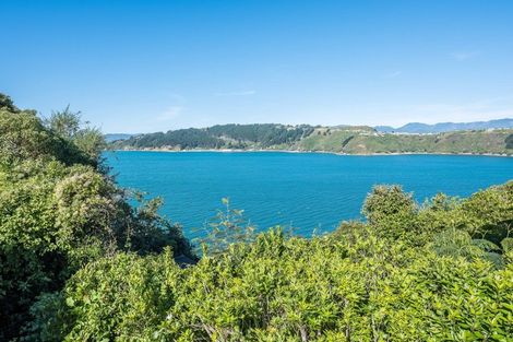 Photo of property in 11 Te Anau Avenue, Hataitai, Wellington, 6021