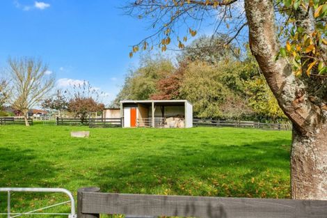 Photo of property in 66 Mill Road, Ohaupo, 3881