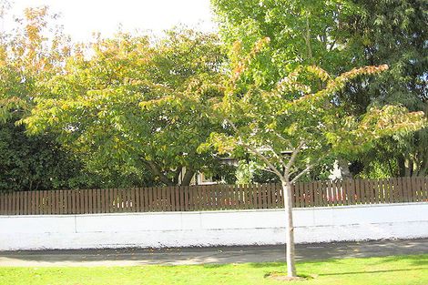 Photo of property in 22 Hounslow Street, Ilam, Christchurch, 8041