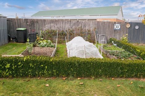 Photo of property in 51 Mcmurdo Street, Tinwald, Ashburton, 7700