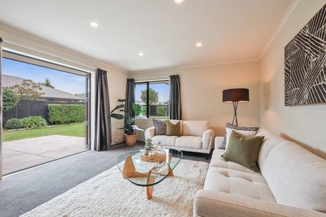 Photo of property in 17 Mccauley Street, Rolleston, 7614