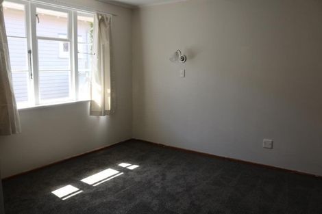 Photo of property in 125 Kings Crescent, Hutt Central, Lower Hutt, 5010