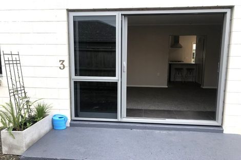 Photo of property in 103 Nixon Street, Hamilton East, Hamilton, 3216