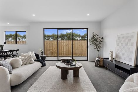 Photo of property in 25 Farmview Lane, Lincoln, 7608