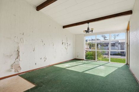 Photo of property in 19 Papakowhai Court, West End, Palmerston North, 4412