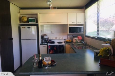 Photo of property in 15 Ness Street, Naseby, 9396