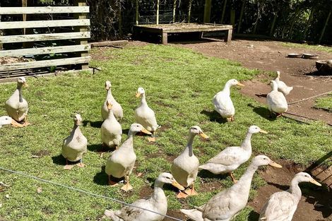 Photo of property in 350 Bedford Road, Kaimiro, Inglewood, 4386