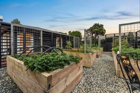 Photo of property in 181 Baddeleys Beach Road, Tawharanui Peninsula, Warkworth, 0986