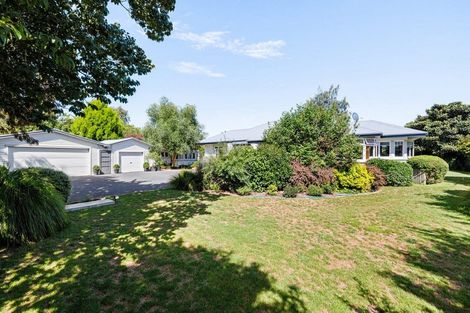 Photo of property in 2 Murray Street, Leamington, Cambridge, 3432