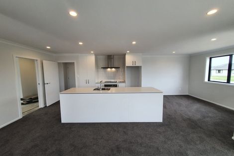 Photo of property in 69 Hinemoa Street, Levin, 5510