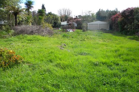 Photo of property in 41 Williams Street, Te Awamutu, 3800