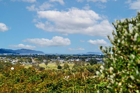 Photo of property in 19 Palm Grove, Belmont, Lower Hutt, 5010