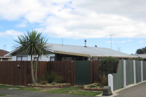 Photo of property in 48 Strathmore Avenue, Levin, 5510