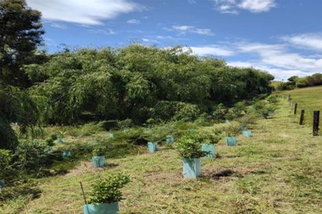 Photo of property in 41 Harley Ridge, Upper Moutere, 7175