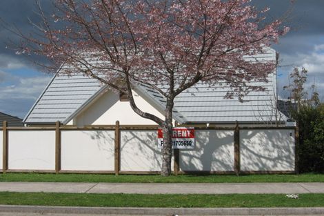 Photo of property in 6 Brodie Place, Bethlehem, Tauranga, 3110