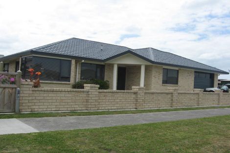 Photo of property in 103 Warwick Street, Feilding, 4702