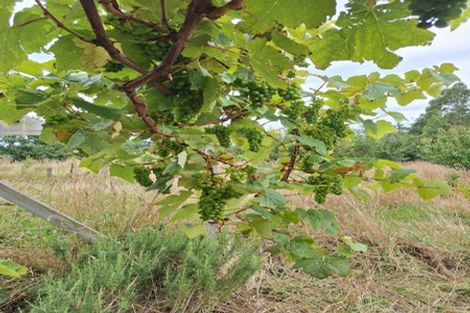 Photo of property in 695e Chester Road, West Taratahi, Carterton, 5791