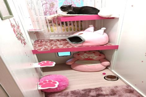 Photo of property in 158 Watershed Road, Bunnythorpe, Palmerston North, 4470