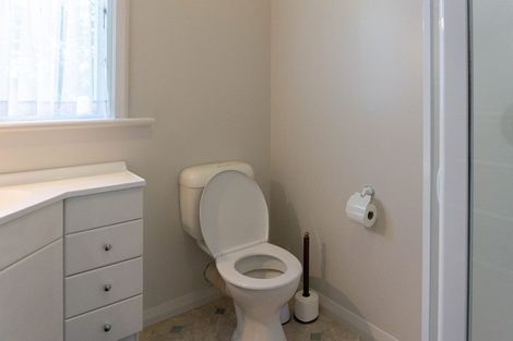 Photo of property in 21 Sheen Street, Roslyn, Dunedin, 9010