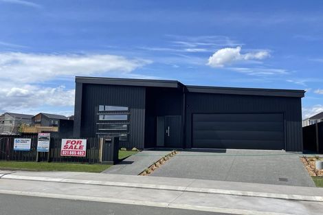 Photo of property in 12 Halley Drive, Chartwell, 3210