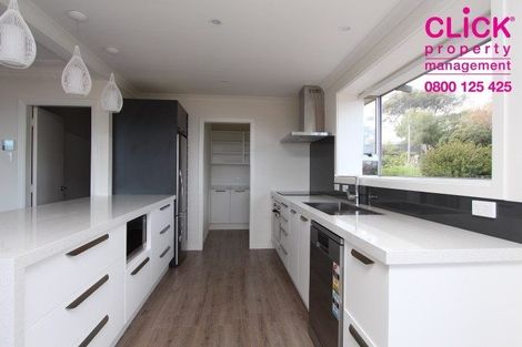 Photo of property in 175 Scott Street, Waverley, Dunedin, 9013