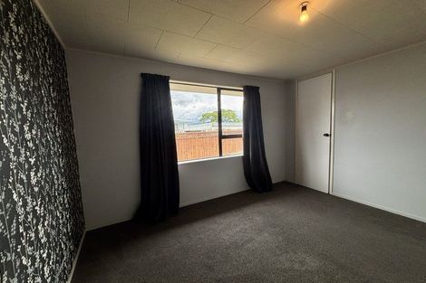 Photo of property in 8a Stratford Street, Blenheim, 7201