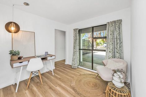 Photo of property in 113a Fisher Avenue, Beckenham, Christchurch, 8023