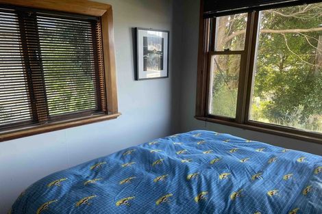 Photo of property in 55 Hankey Street, Mount Cook, Wellington, 6011