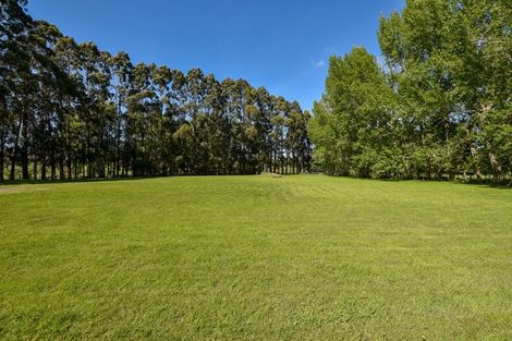 Photo of property in 1049 Longbush Road, Longbush, Masterton, 5884