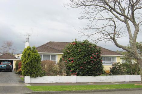 Photo of property in 160 Weraroa Road, Levin, 5510