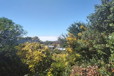 Photo of property in 19 Toi Street, Tawhero, Whanganui, 4501