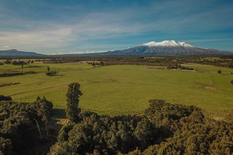 Photo of property in Matapuna Road, Horopito, Raetihi, 4696