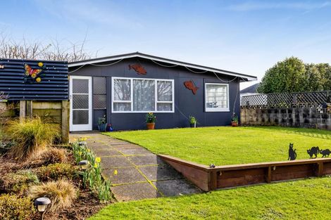 Photo of property in 15 Ariel Street, Stratford, 4332