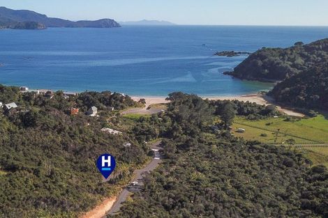 Photo of property in 58 Little Bay Drive, Waikawau, Coromandel, 3584