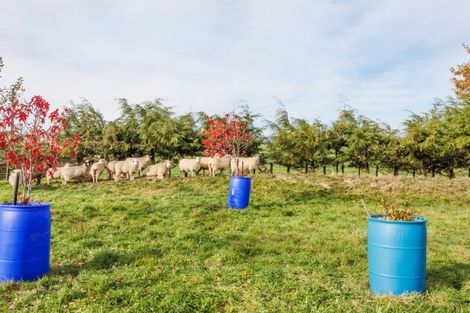 Photo of property in 1867 Makino Road, Halcombe, Feilding, 4779