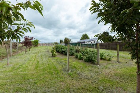 Photo of property in 3 Murdoch Place, Mayfield, Ashburton, 7778