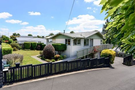 Photo of property in 198 Sandwich Road, St Andrews, Hamilton, 3200