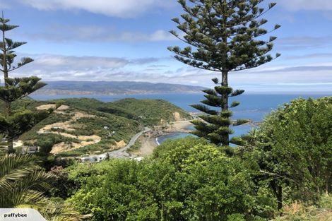 Photo of property in 181 Buckley Road, Southgate, Wellington, 6023