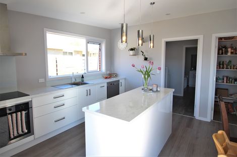 Photo of property in 46 Ventry Street, Alexandra, 9320