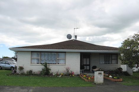 Photo of property in 50 Strathmore Avenue, Levin, 5510