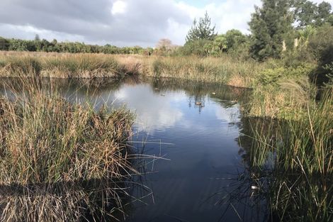 Photo of property in 1 Beardmore Lane, Papakura, 2110