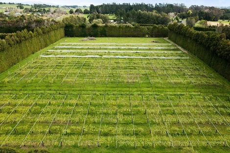 Photo of property in 1254 Pipiwai Road, Ruatangata West, Whangarei, 0176