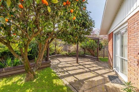 Photo of property in 13a Peter Snell Street, Whakatane, 3120