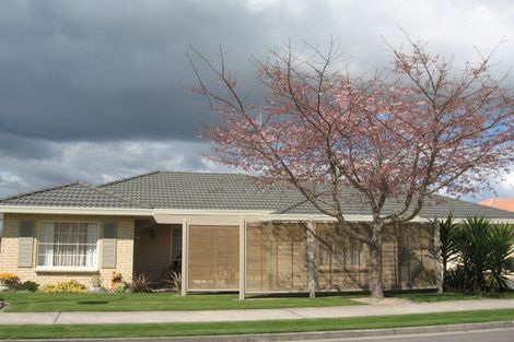Photo of property in 4 Brodie Place, Bethlehem, Tauranga, 3110