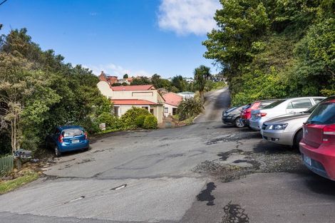 Photo of property in 21c Clark Street, Dunedin Central, Dunedin, 9016