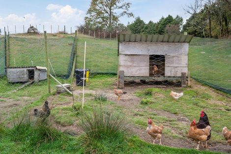 Photo of property in 43 Tawhero Street, Mamaku, 3020