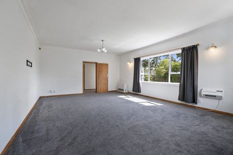 Photo of property in 63 Guy Avenue, Takaro, Palmerston North, 4410